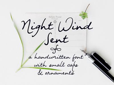 Night Wind Sent handwritten font design font handwriting font script font signature font typography