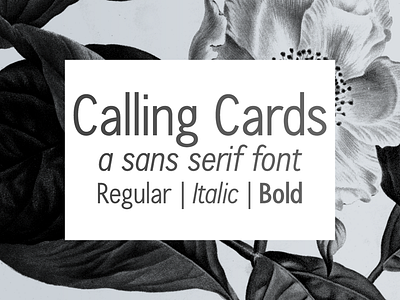 Calling Cards sans serif font design font sans serif font typography