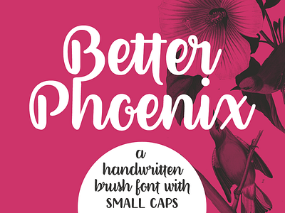 Better Phoenix brush font brush font brush lettering design font script font typography