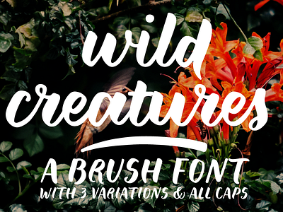 Wild Creatures brush font family