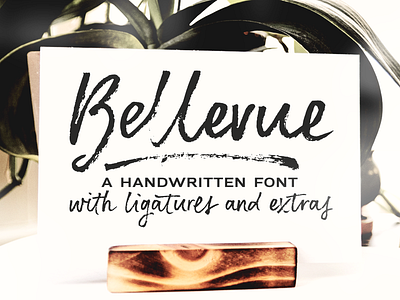 Bellevue brush font and textures