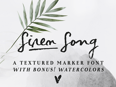 Siren Song font and texture pack brush font brush lettering calligraphy font design font handwriting font script font typography