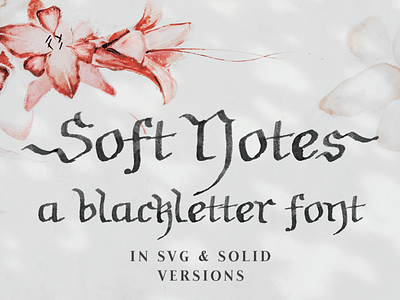 Soft Notes font blackletter calligraphy font design font gothic handwriting font retro retro design typography