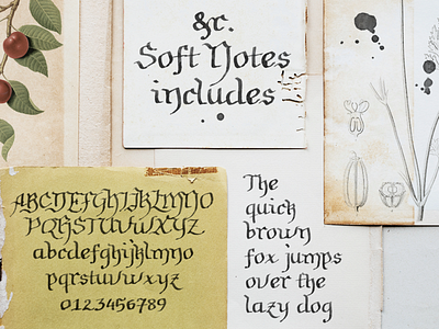 Soft Notes font blackletter calligraphy font design font gothic handwriting font retro retro design typography