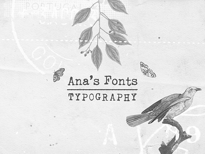 Ana's Fonts at MyFonts branding design font illustration logo retro design serif font typography