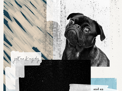 Texture & Brush Collection collage art collage design collageart design digital art digital collage handwriting font illustration paper textures photoshop brushes texture bundle typography