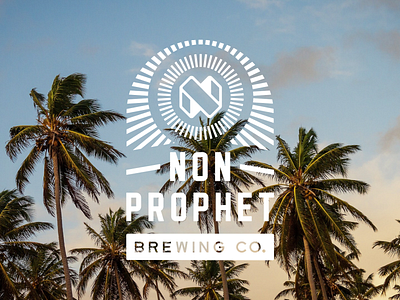 Non-Prophet Brewing Co. beer brand design brand identity cans illustration kombucha label design logo design merch design packaging