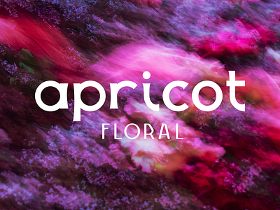 Apricot Floral Branding brand design brand identity floral design florist illustration logo design vintage