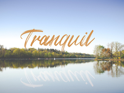 Tranquil