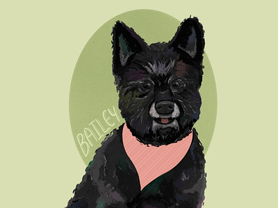 Bailey, the old mutt animal black dog face fur illustration poodle procreate toto