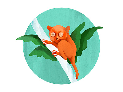Tarsier Bohol bohol clean creature illustration tarsier
