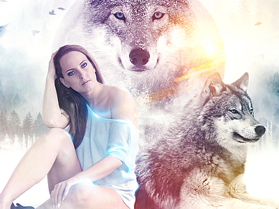 sz bird blue cold forest lights moon photomanipulation shine snow sun tree wolf