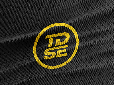 TDSE brand identity
