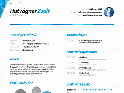 cv by zsolt hutvagner on Dribbble