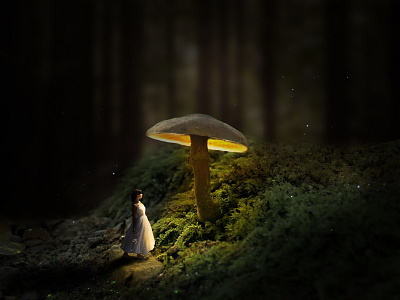 Manipulation light mushroomlighteffect photography photoshop