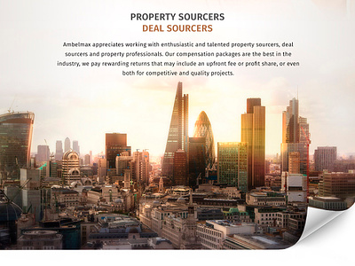 Ambelmax Property Investment adobe photoshop design designthinking landing page landing page design web design