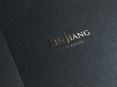 Xin Jiang adobe illustrator graphic design logo design