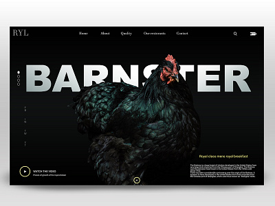 Classy and feathery abstract branding design graphic art graphicdesign illustration landing page landing page design landingpage minimal photoshop portfolio typography ui uidesign uiux userexperiance userinterface ux webdesign