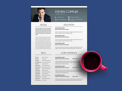 Free Engineer Developer Resume Template developer engineer free free cv template free resume free resume template freebie freebies resume template