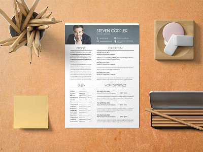 Free Developer Resume Template free free cv free cv template free developer resume template free developer resume template free resume free resume template freebie freebies resume template