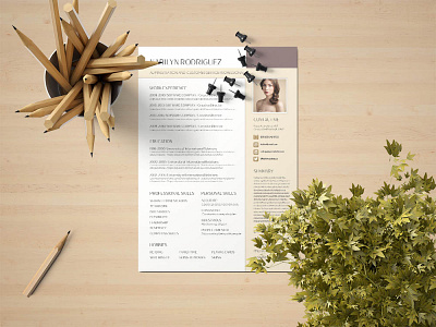 Free Administration CV/Resume Template free free cv free cv template free resume free resume template freebie freebies psd resume template