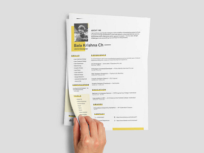 Free Adobe XD CV/Resume Template free free cv free cv template free resume free resume template freebie freebies resume template xd