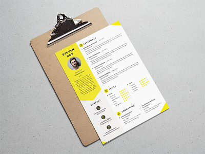 Free Clean Resume Template for Job Seeker