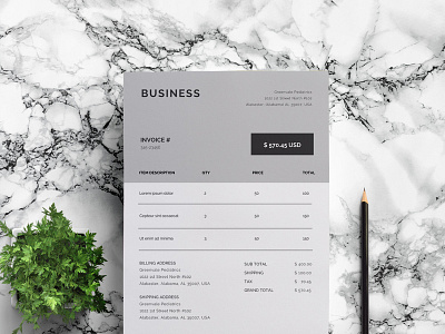 Business Invoice Template