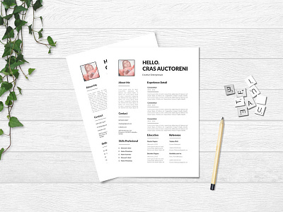 Free Clean CV/Resume Template