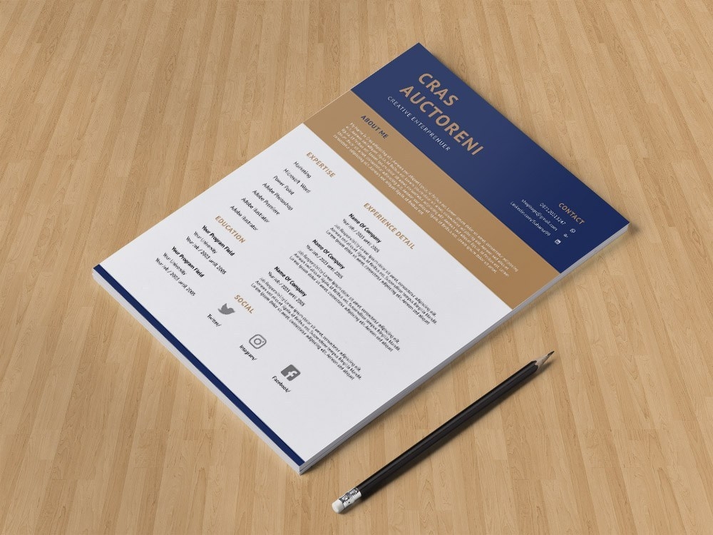 free download fancy cv templates word