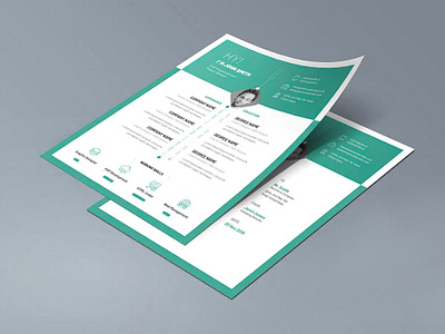 Free Infographic Curriculum Vitae Template free free cv free cv template free resume free resume template freebie freebie psd freebies photoshop psd resume template