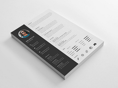 Free Classy Resume Template with Eye Catching Design free free cv free cv template free resume free resume template freebie freebie psd freebies photoshop psd resume template