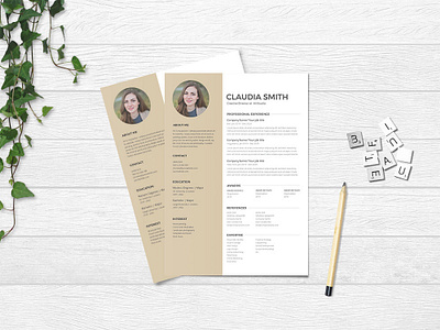 Free Director Resume Template (Freebies) free free cv free cv template free director resume template free resume free resume template freebie freebie psd freebies photoshop psd resume template