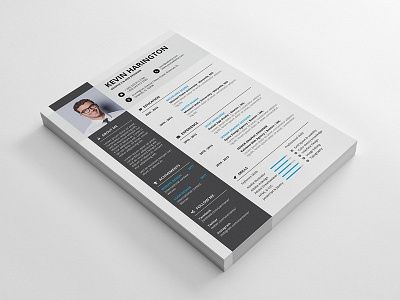 Free Professional Indesign Resume Template free free cv free cv template free resume free resume template freebie freebies resume template