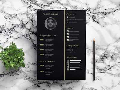 Free Modern Illustrator Resume Template free free cv free cv template free resume free resume template freebie freebies resume template