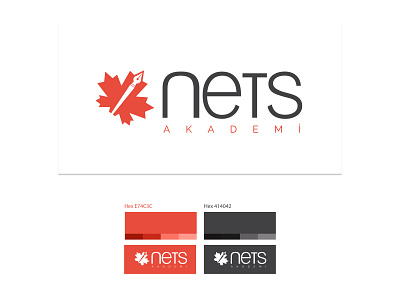 Logo Design / Nets Academy