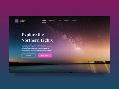 Northern Lights Web Banner animation app aurora background blue button dark design figma galaxy landing page light logo northern pagination typography ui uidesign ux web banner