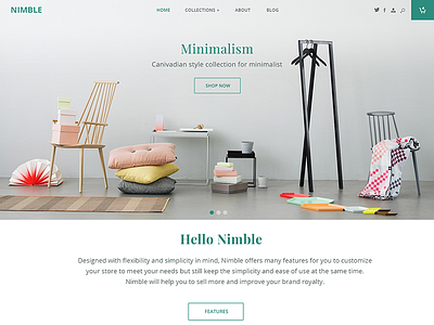 e-commerce Theme design ecommerce front store shop shopify store