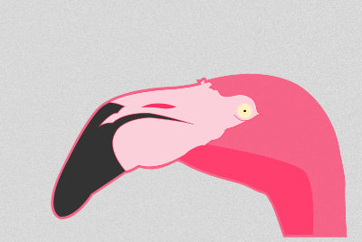 Pink Flamingo flamingo illustration pink