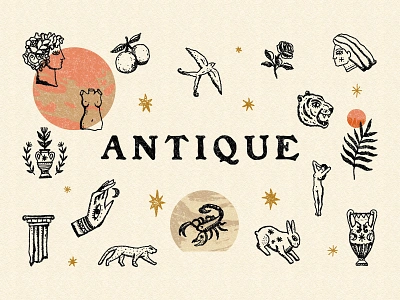 Antique Bundle antique boho clipart design illustration logo neutral tiger vector vintage