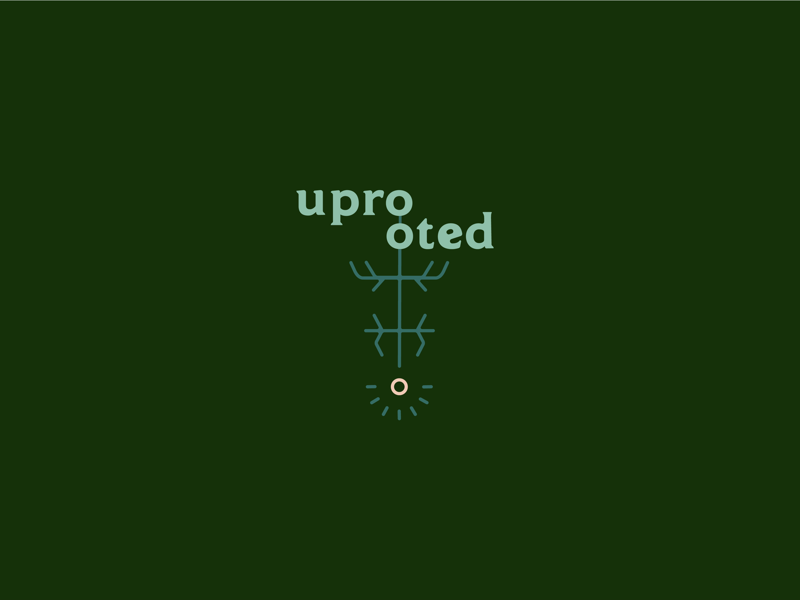 uprooted rebrand logo concept by Gabrielle Powell on Dribbble