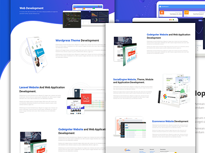 Web Development Page Design