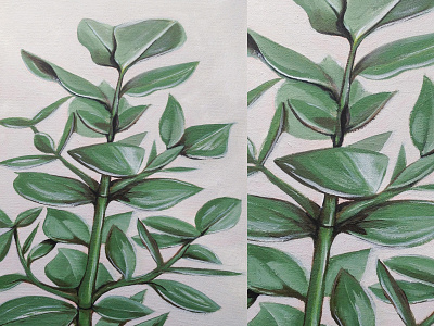 Clusia art canvas green painting plant