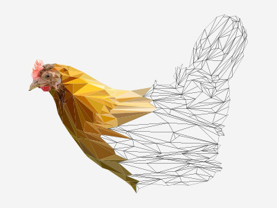 Chicken poly-illustration