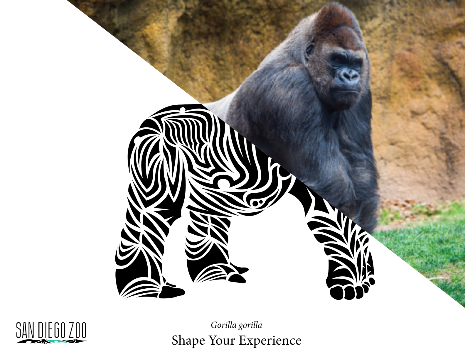SD Zoo Reimagined Poster 2 digital art geometic rebranding tribal zoo