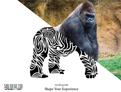 SD Zoo Reimagined Poster 2 digital art geometic rebranding tribal zoo