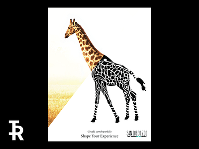 SD Zoo Reimagined Poster 3 digital art geometic rebranding tribal zoo