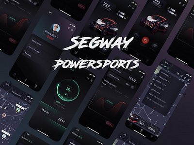 Segway powersports