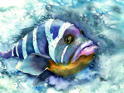 The fish - watercolor painting.