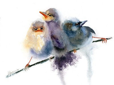 3 wrens - watercolor painting